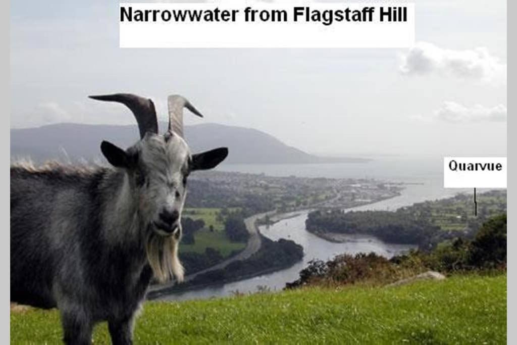 Quarvue Farmhouse, Unique House With Views Of Mournes And Cooleys O Meith Bagian luar foto